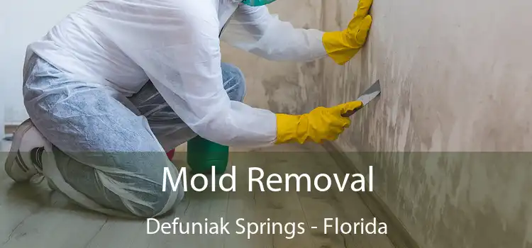 Mold Removal Defuniak Springs - Florida