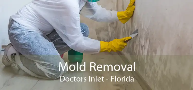 Mold Removal Doctors Inlet - Florida