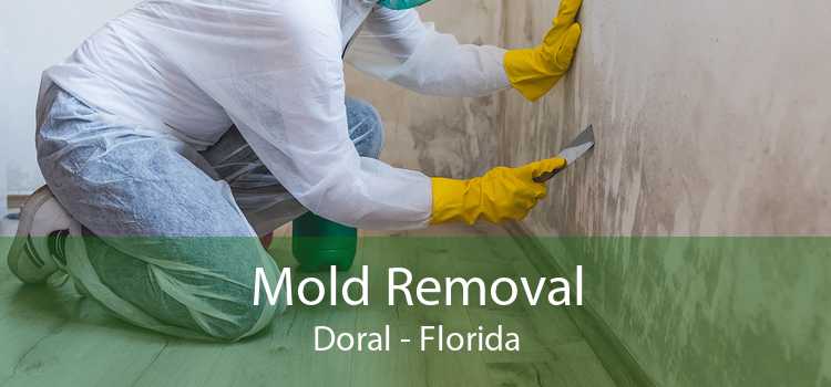 Mold Removal Doral - Florida