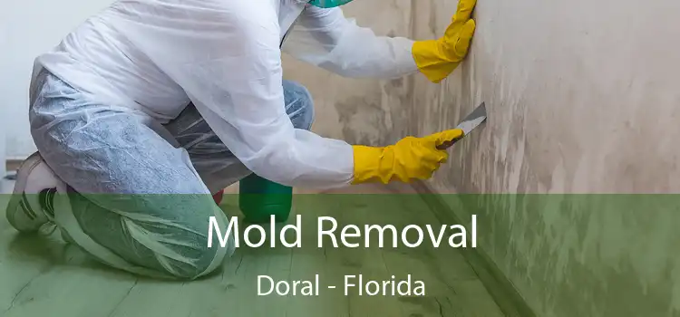 Mold Removal Doral - Florida