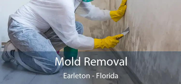 Mold Removal Earleton - Florida