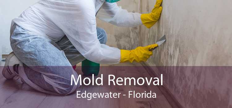 Mold Removal Edgewater - Florida