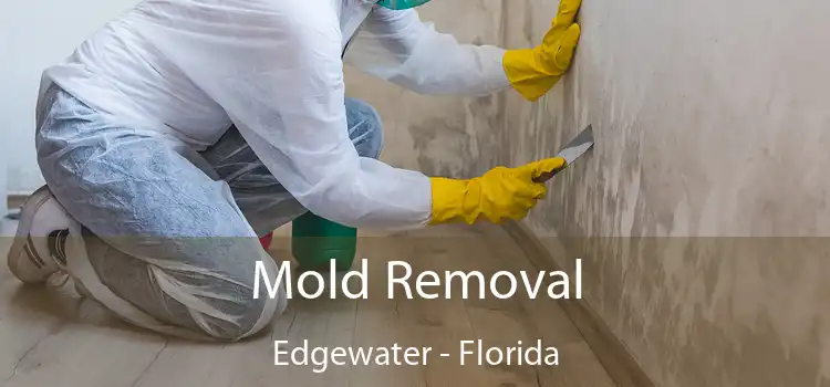 Mold Removal Edgewater - Florida