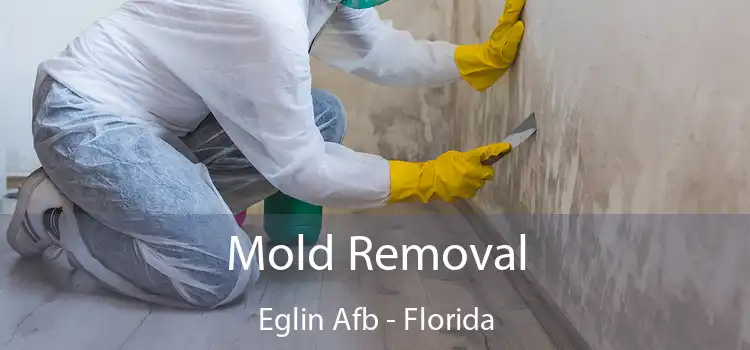 Mold Removal Eglin Afb - Florida