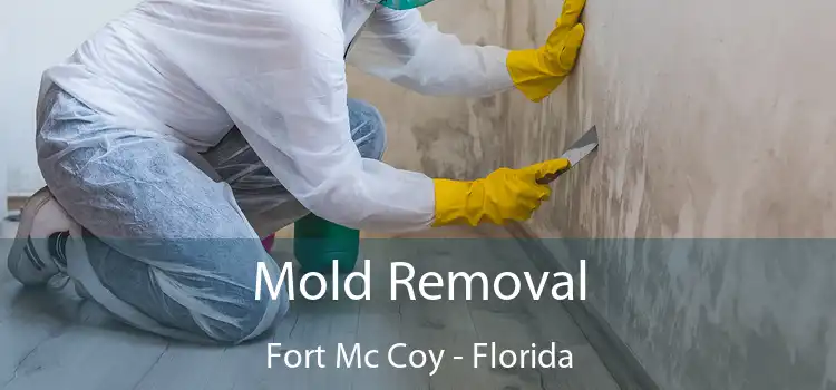 Mold Removal Fort Mc Coy - Florida