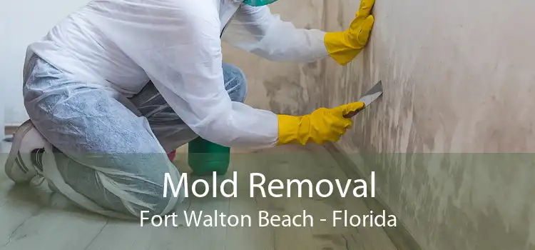 Mold Removal Fort Walton Beach - Florida