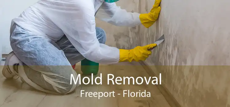 Mold Removal Freeport - Florida
