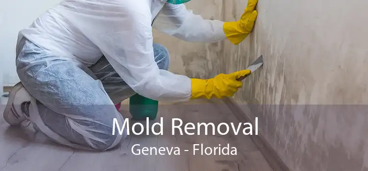 Mold Removal Geneva - Florida