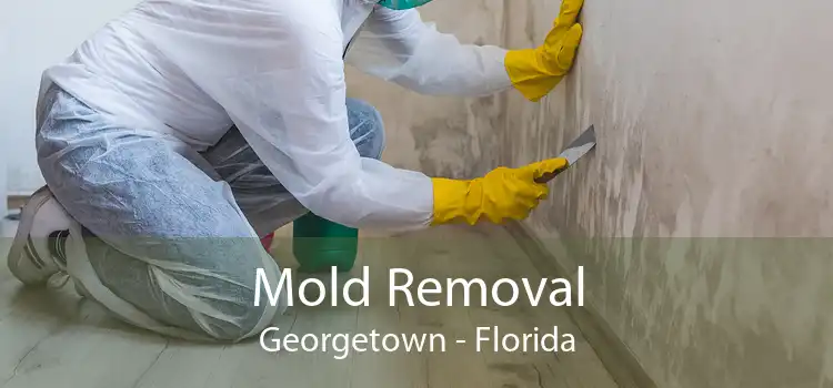 Mold Removal Georgetown - Florida