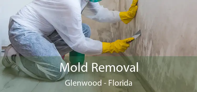 Mold Removal Glenwood - Florida