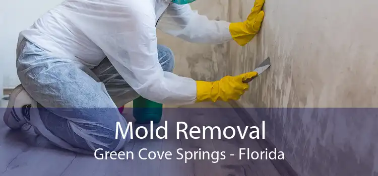 Mold Removal Green Cove Springs - Florida