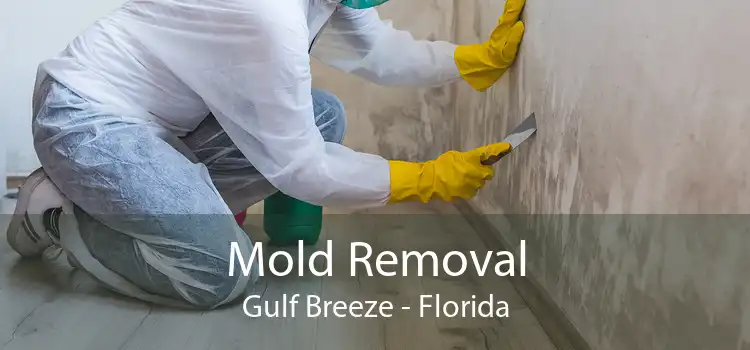 Mold Removal Gulf Breeze - Florida