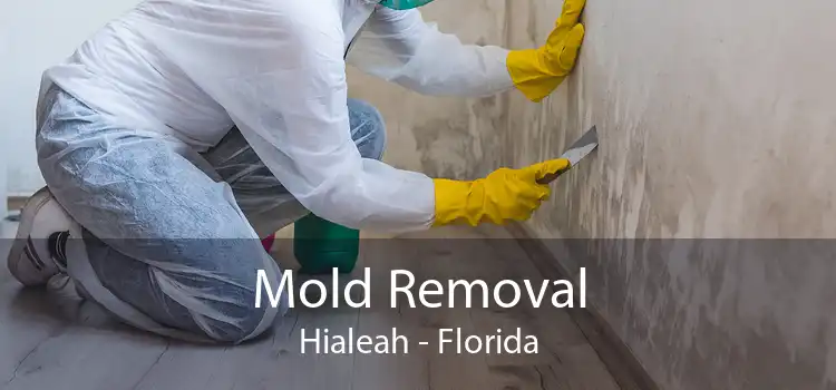 Mold Removal Hialeah - Florida
