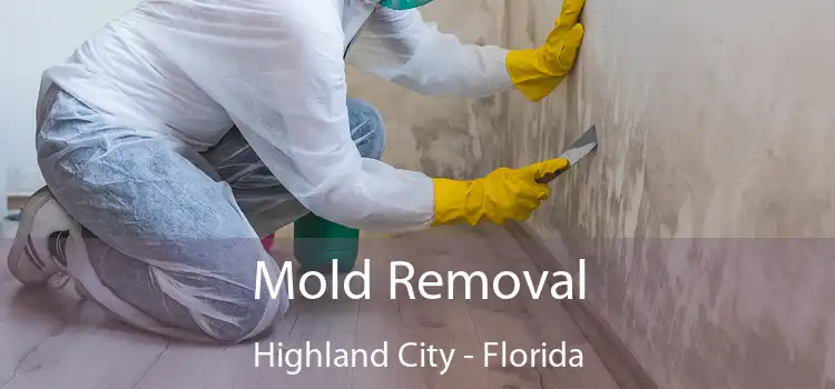 Mold Removal Highland City - Florida