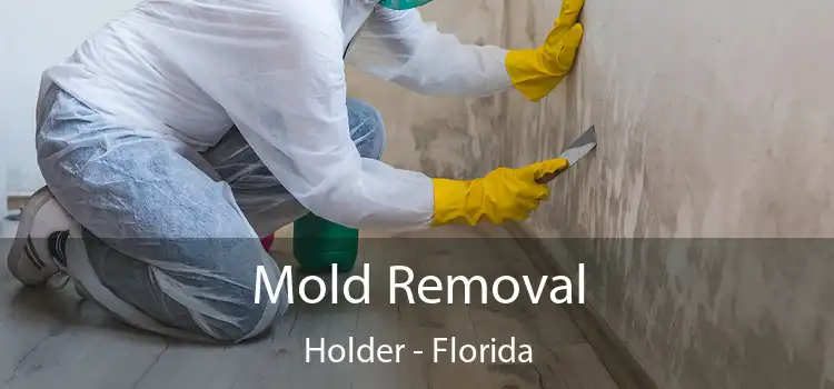 Mold Removal Holder - Florida