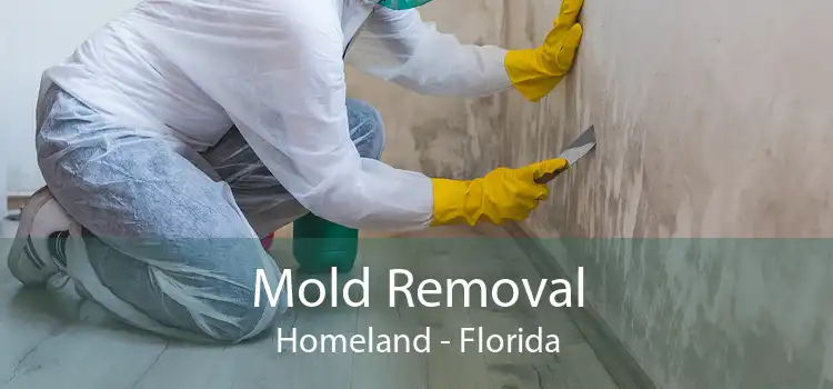 Mold Removal Homeland - Florida