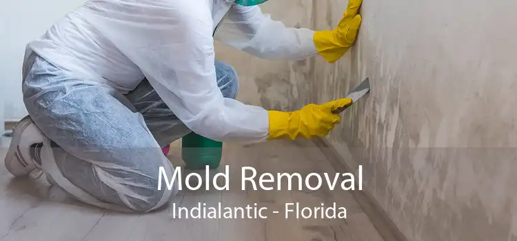 Mold Removal Indialantic - Florida