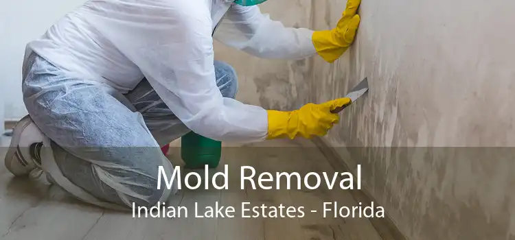 Mold Removal Indian Lake Estates - Florida