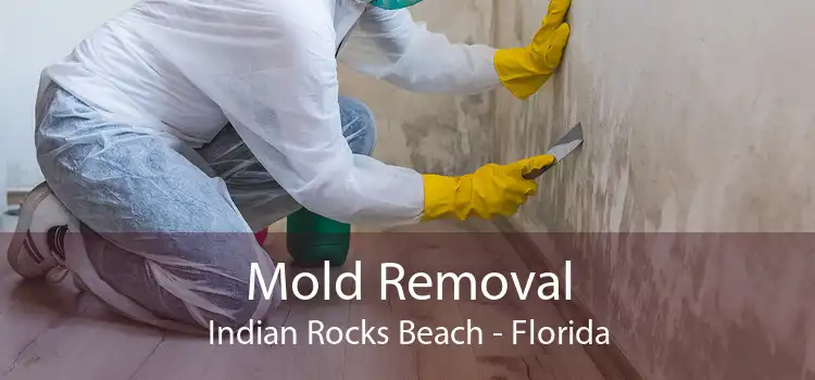 Mold Removal Indian Rocks Beach - Florida