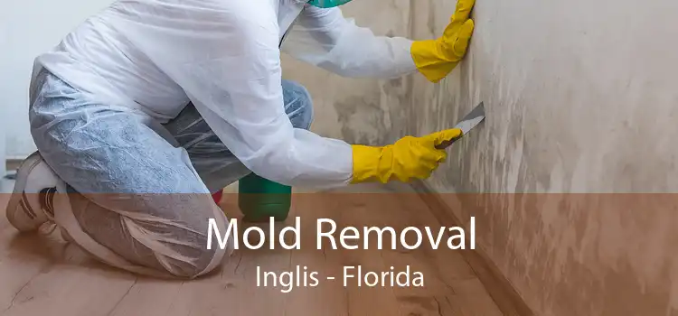 Mold Removal Inglis - Florida