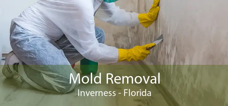 Mold Removal Inverness - Florida