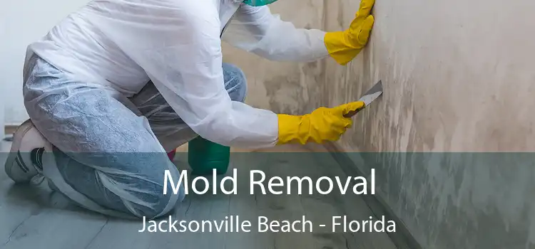 Mold Removal Jacksonville Beach - Florida