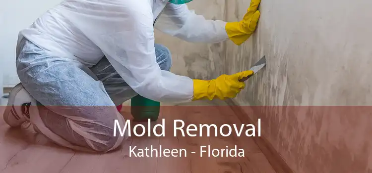 Mold Removal Kathleen - Florida