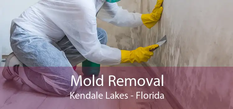 Mold Removal Kendale Lakes - Florida
