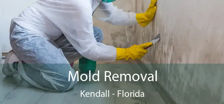 Mold Removal Kendall - Florida