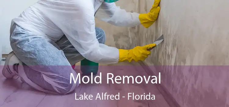 Mold Removal Lake Alfred - Florida