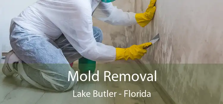 Mold Removal Lake Butler - Florida