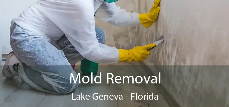 Mold Removal Lake Geneva - Florida