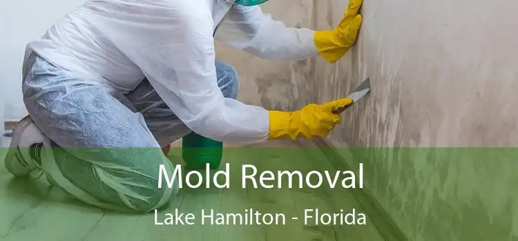 Mold Removal Lake Hamilton - Florida