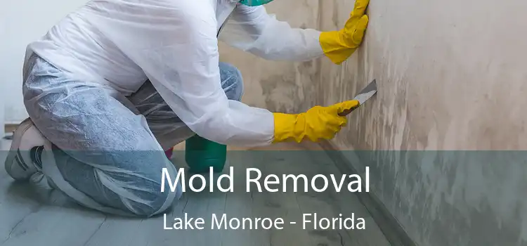 Mold Removal Lake Monroe - Florida