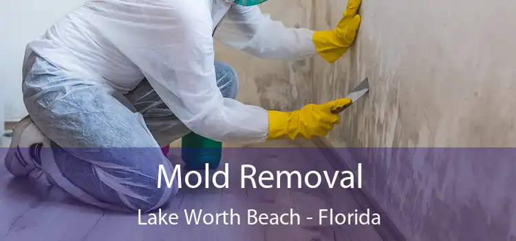 Mold Removal Lake Worth Beach - Florida