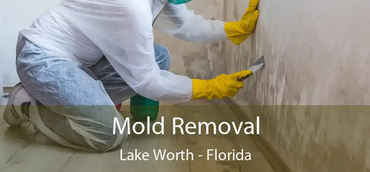 Mold Removal Lake Worth - Florida