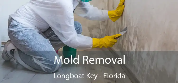 Mold Removal Longboat Key - Florida