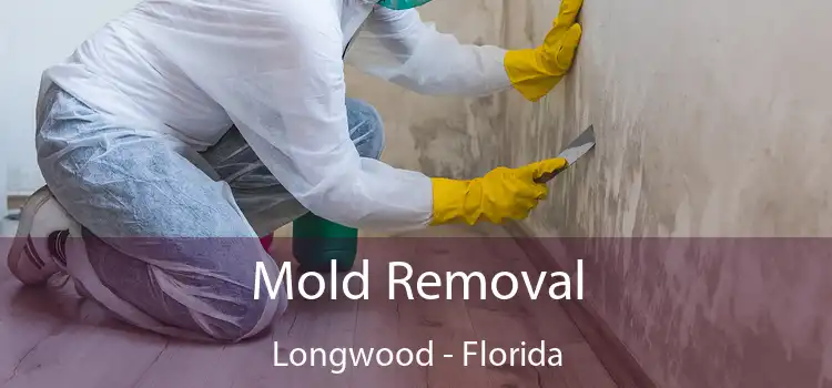 Mold Removal Longwood - Florida