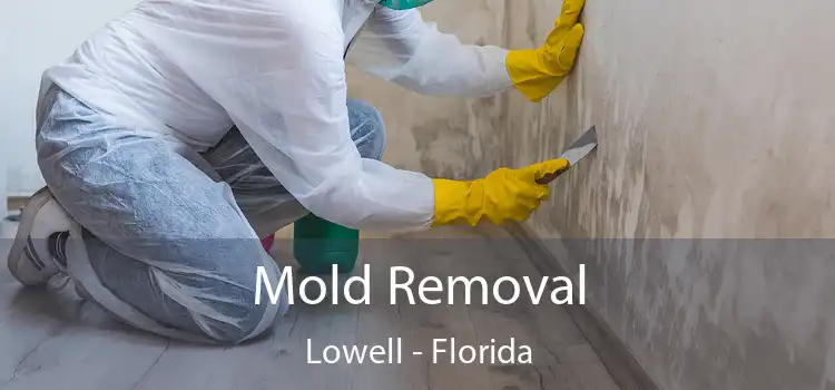 Mold Removal Lowell - Florida