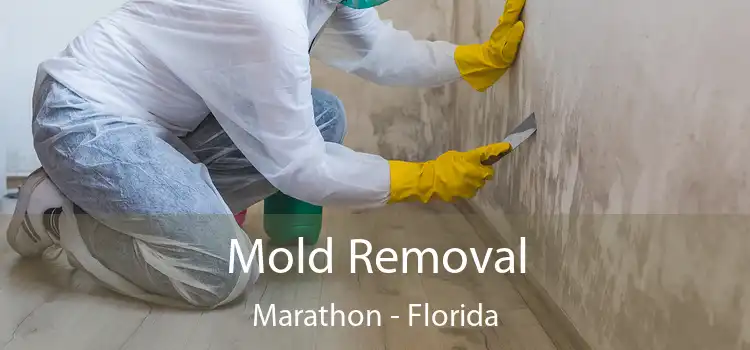 Mold Removal Marathon - Florida