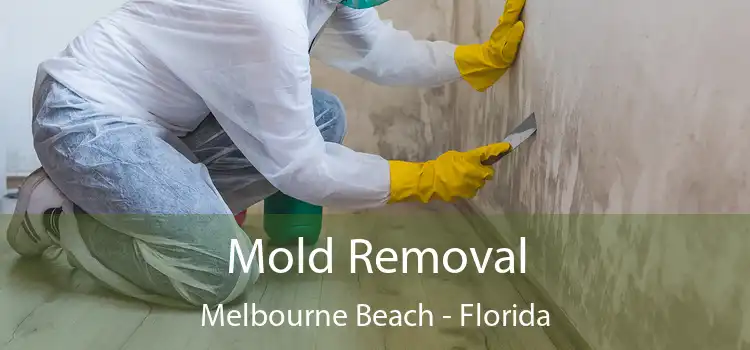 Mold Removal Melbourne Beach - Florida