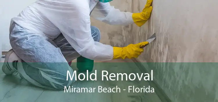 Mold Removal Miramar Beach - Florida