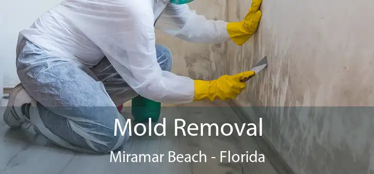 Mold Removal Miramar Beach - Florida