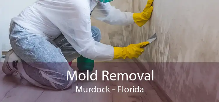 Mold Removal Murdock - Florida