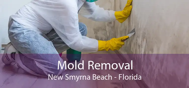 Mold Removal New Smyrna Beach - Florida