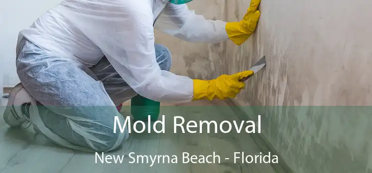 Mold Removal New Smyrna Beach - Florida