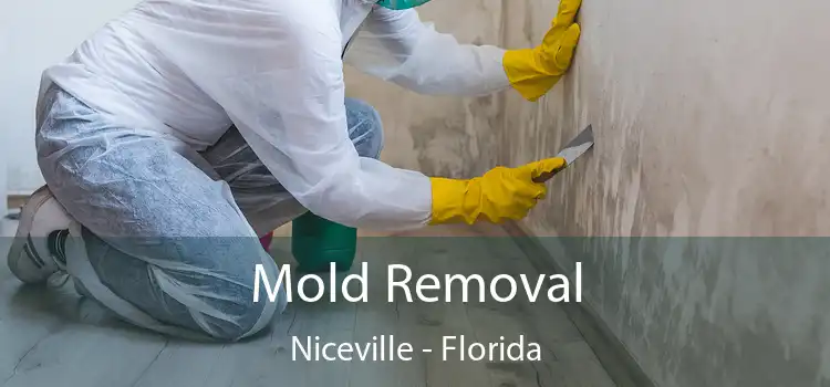 Mold Removal Niceville - Florida