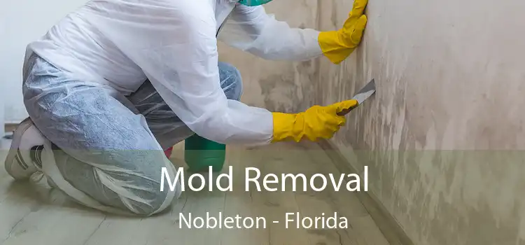 Mold Removal Nobleton - Florida