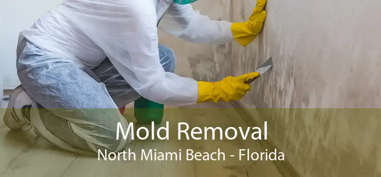 Mold Removal North Miami Beach - Florida