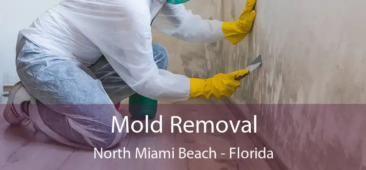 Mold Removal North Miami Beach - Florida